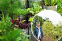 Jekka McVicar who runs a farm near Thornbury has given away her tips for growing herbs - photos by PA