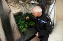 Police raid a house in Malmesbury and discover a large quanity of cannabis and cultivation equipment. Pictured, SGT Martin Alvis