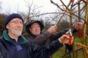 Keith Pattison and Dave Green  prune one of the trees in the Frampton Cotterell community orchard during the Wassailing ceremony on Saturday