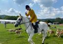 The Parade of Hounds at Royal Three Counties Show on Friday (June 16)