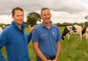 Chris and Mike King at their dairy farm