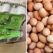 'No egg shortage' at local shop as shoppers struggle