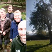 Orchard near Stroud to appear on TV tomorrow