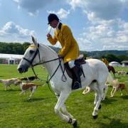 The Parade of Hounds at Royal Three Counties Show on Friday (June 16)