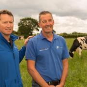 Chris and Mike King at their dairy farm