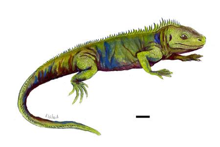 New species of ancient reptile found at Tytherington quarry named after Harry Potter character