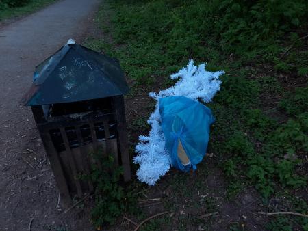 Rubbish dumped in Thornbury