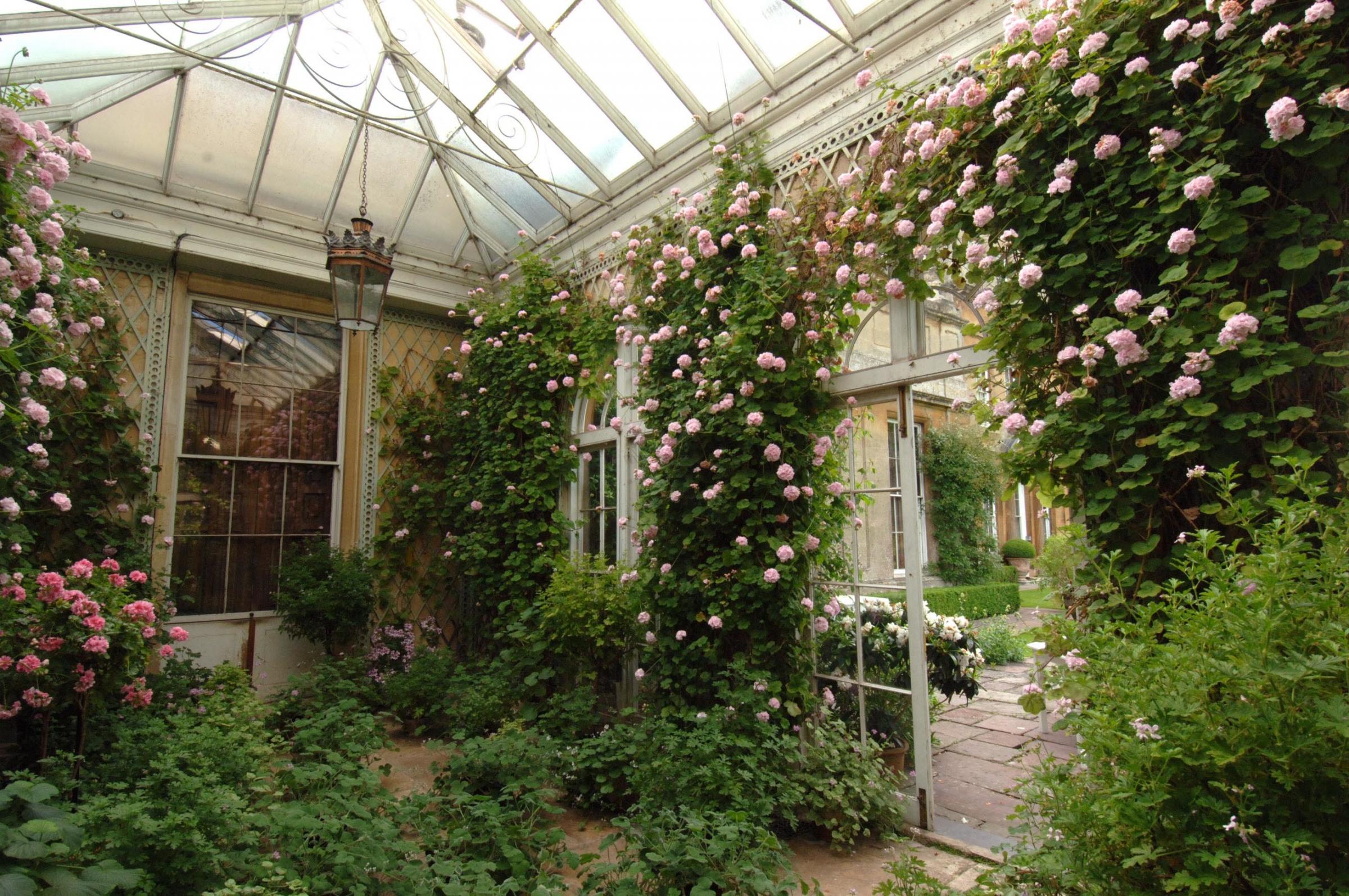 Pic by JAY WILLIAMS of Bristol. Tel 01275 880579 / 07770 576076, pix@jaywilliams.co.uk Pic shows the conservatory at Badminton House, Glos