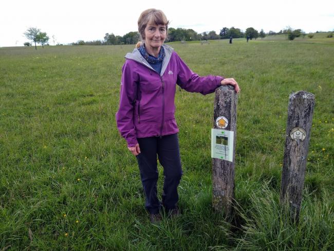 Pictured: Stinchcombe parish councillor Kath Hudson by one of the signs