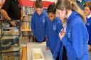 Pupils learning more about the eels earlier this week - photo by Cerys Baker