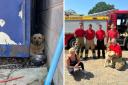 Firefighters helped rescue a trapped dog yesterday