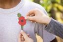 A Poppy Appeal organiser is needed for the Dursley area