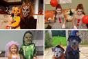 Readers have been sending in their brilliant and spooky Halloween photos - scroll through our scary gallery for all pictures