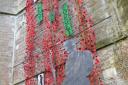 A poignant poppy display has been set up in Iron Acton