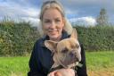 Care assistant Beth Barker with Crumpet, the two-year-old French bulldog 


aged two