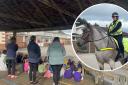Pupils from Berkeley Primary School recently met a police horse which has been named Berkeley