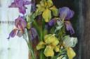 Irises by Cirencester Art Society member Joan Lyons