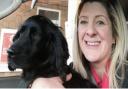 Edith the dog went missing from outside her home in Wotton-under-Edge in Gloucestershire when she was a nine-month-old puppy.Credit: Emma Hall