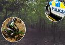 Police alert after motorbike riders tear through woods