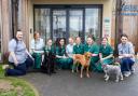 Veterinary staff with dogs outside Vale Vets and Referrals