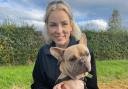 Care assistant Beth Barker with Crumpet, the two-year-old French bulldog 


aged two