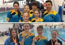 Dursley Dolphins have had success at the Gloucester County Championships
