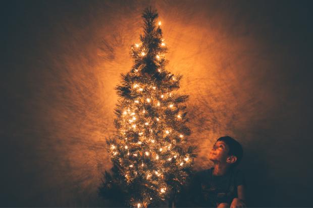 Gazette Series: A child looking up at a decorated Christmas tree. Credit: Canva