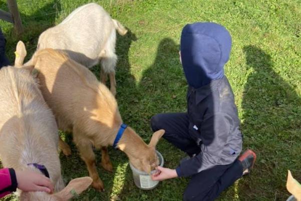 Children with goats at Empowering Futures Care Farm. Source: Empowering Futures Facebook page.