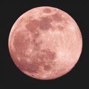 Pink Super Moon:  How to see the lunar spectacle next week in the UK