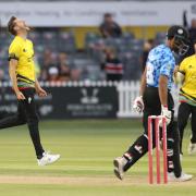 Gloucestershire's David Payne celebrates taking the wicket of Sussex Sharks' Ravi Bopara during the Vitality T20 match at the Bristol County Ground, Bristol