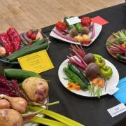 Photos as residents showcase skills at produce show