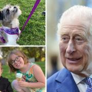 Community event with dog show to celebrate King’s Coronation