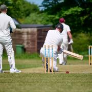 Report: Cam Cricket suffer first defeat of the season