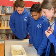 Pupils learning more about the eels earlier this week - photo by Cerys Baker