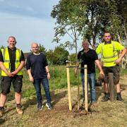 Yate Town councillors commemorate Queen Elizabeth II's legacy by planting trees