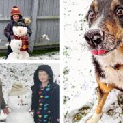 Images sent in by Gazette readers of the snow
