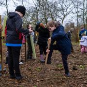 Cam Everlands Primary School enjoying the Silk Wood Community Planting Project at Westonbirt. Photo by Alison Whaley