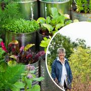 Jekka McVicar who runs a farm near Thornbury has given away her tips for growing herbs - photos by PA