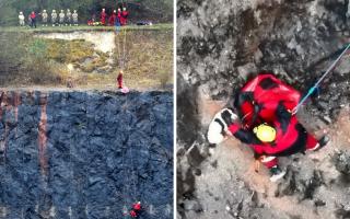 Puppy rescued after plunging 30 feet into quarry 
