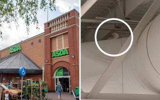The seagull has been stuck inside the Bedminster Asda for two weeks