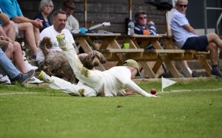 In pictures as Cam fell to a narrow defeat at home to Tewkesbury 2nd